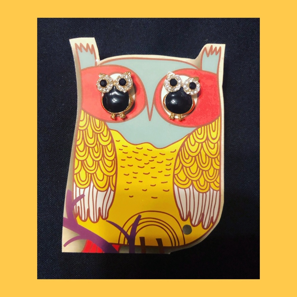 🦉Bold & Curious Black Eye & Belly Owl Earrings🦉